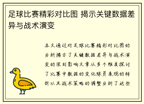 足球比赛精彩对比图 揭示关键数据差异与战术演变