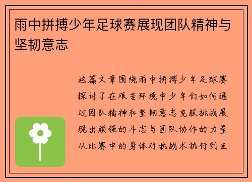 雨中拼搏少年足球赛展现团队精神与坚韧意志