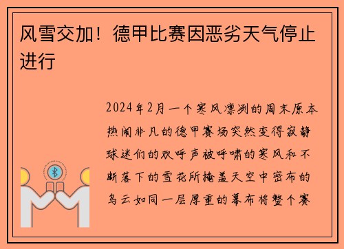 风雪交加！德甲比赛因恶劣天气停止进行