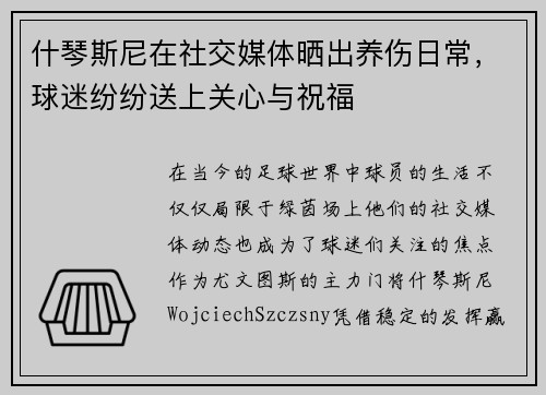什琴斯尼在社交媒体晒出养伤日常，球迷纷纷送上关心与祝福