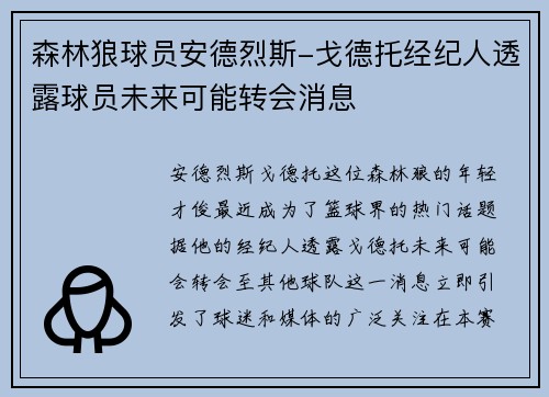森林狼球员安德烈斯-戈德托经纪人透露球员未来可能转会消息