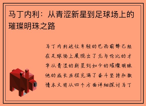 马丁内利：从青涩新星到足球场上的璀璨明珠之路