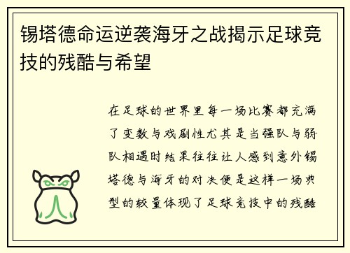 锡塔德命运逆袭海牙之战揭示足球竞技的残酷与希望