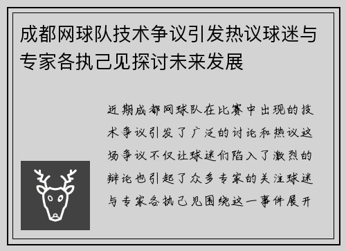成都网球队技术争议引发热议球迷与专家各执己见探讨未来发展