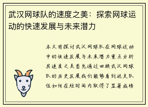 武汉网球队的速度之美：探索网球运动的快速发展与未来潜力