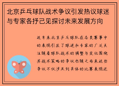 北京乒乓球队战术争议引发热议球迷与专家各抒己见探讨未来发展方向
